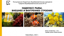 Презентация по биологии "Надкласс рыбы" - Класс учебник | Академический школьный учебник скачать | Сайт школьных книг учебников uchebniki.org.ua