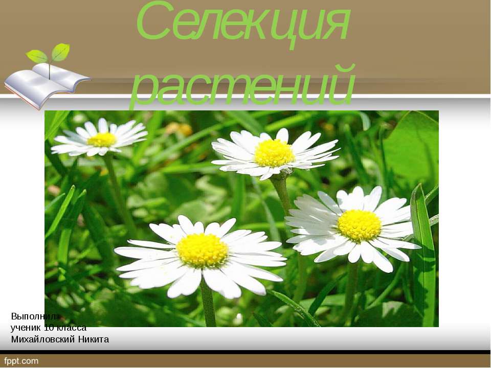 селекция растений - Класс учебник | Академический школьный учебник скачать | Сайт школьных книг учебников uchebniki.org.ua