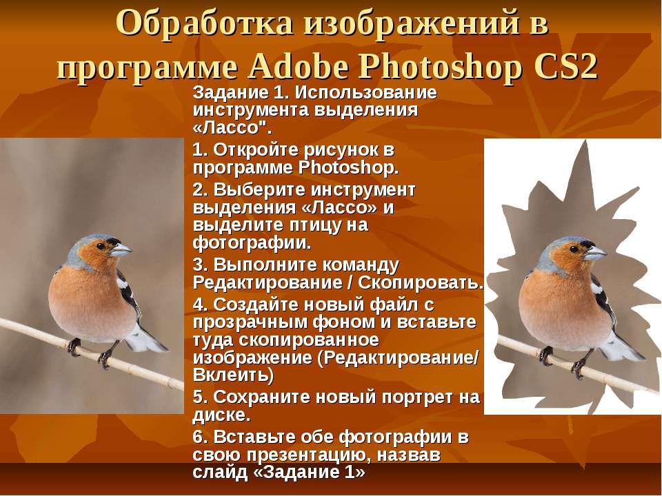 Обработка изображений в программе Adobe Photoshop CS2 - Класс учебник | Академический школьный учебник скачать | Сайт школьных книг учебников uchebniki.org.ua