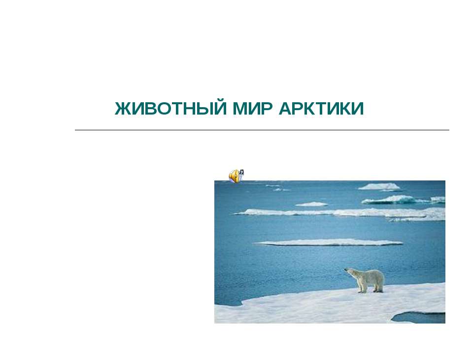 Животный мир Арктики - Класс учебник | Академический школьный учебник скачать | Сайт школьных книг учебников uchebniki.org.ua