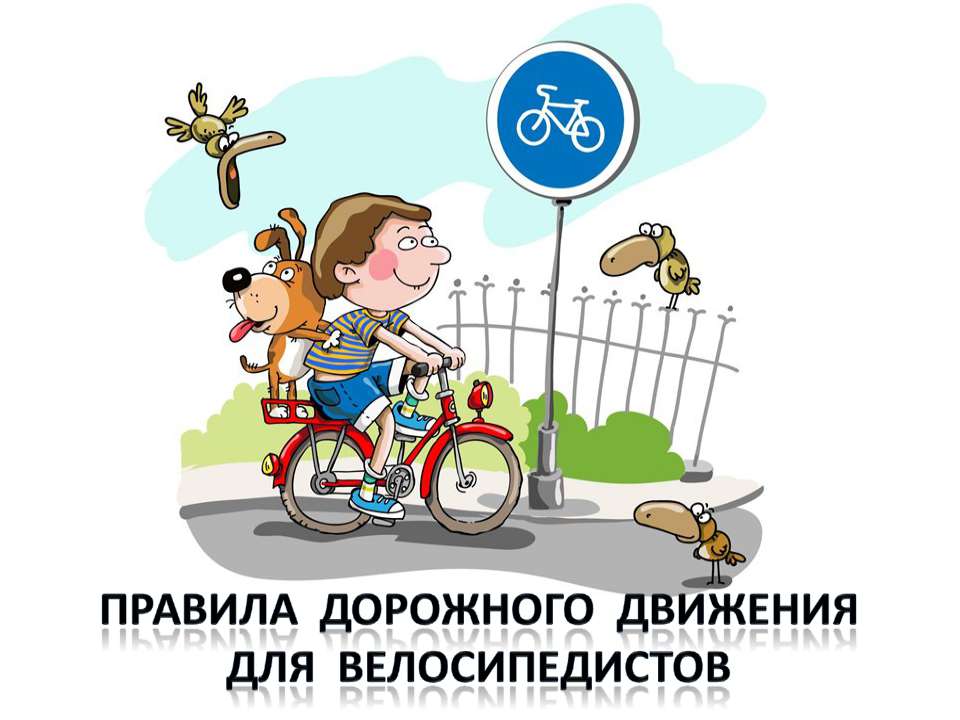 Правила дорожного движения для велосипедистов - Класс учебник | Академический школьный учебник скачать | Сайт школьных книг учебников uchebniki.org.ua