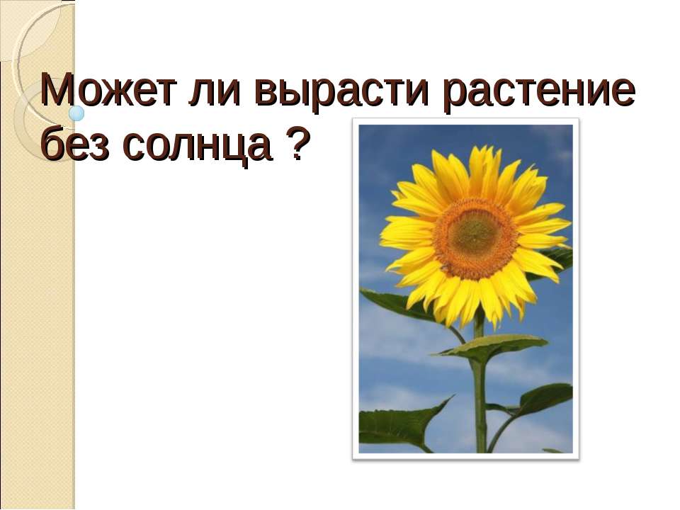 Может ли вырасти растение без солнца ? - Класс учебник | Академический школьный учебник скачать | Сайт школьных книг учебников uchebniki.org.ua