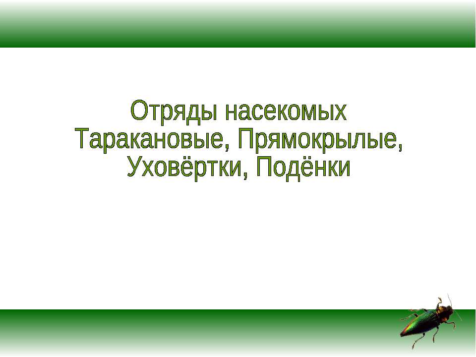 Отряды насекомых Таракановые, Прямокрылые, Уховёртки, Подёнки - Класс учебник | Академический школьный учебник скачать | Сайт школьных книг учебников uchebniki.org.ua