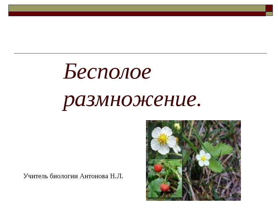 Бесполое размножение 9 класс - Класс учебник | Академический школьный учебник скачать | Сайт школьных книг учебников uchebniki.org.ua