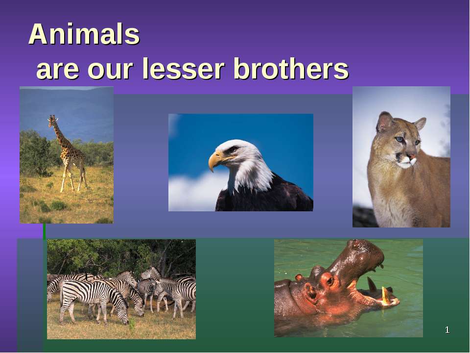 Animals are our lesser brothers - Класс учебник | Академический школьный учебник скачать | Сайт школьных книг учебников uchebniki.org.ua