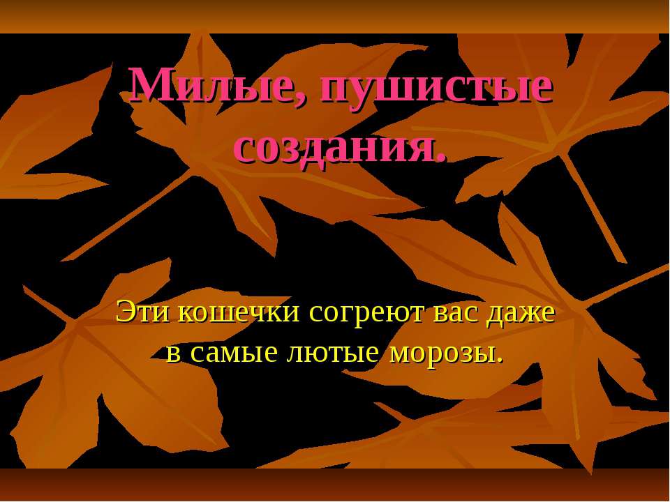 Милые, пушистые создания - Класс учебник | Академический школьный учебник скачать | Сайт школьных книг учебников uchebniki.org.ua