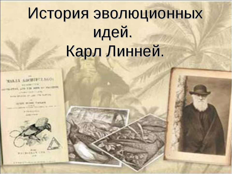 История эволюционных идей. Карл Линней - Класс учебник | Академический школьный учебник скачать | Сайт школьных книг учебников uchebniki.org.ua