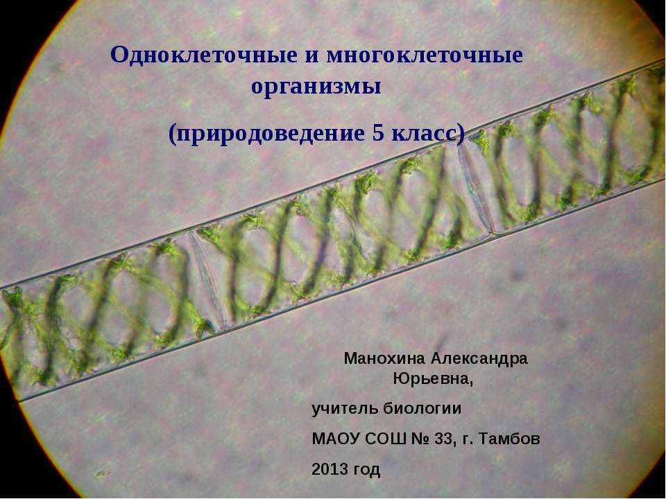 Одноклеточные и многоклеточные организмы - Класс учебник | Академический школьный учебник скачать | Сайт школьных книг учебников uchebniki.org.ua