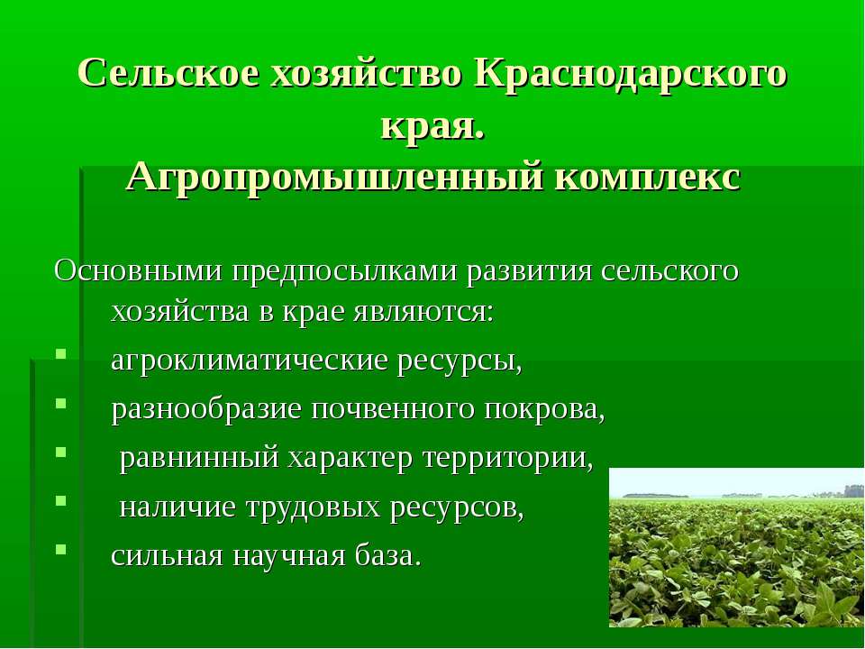 Сельское хозяйство Краснодарского края. Агропромышленный комплекс - Класс учебник | Академический школьный учебник скачать | Сайт школьных книг учебников uchebniki.org.ua