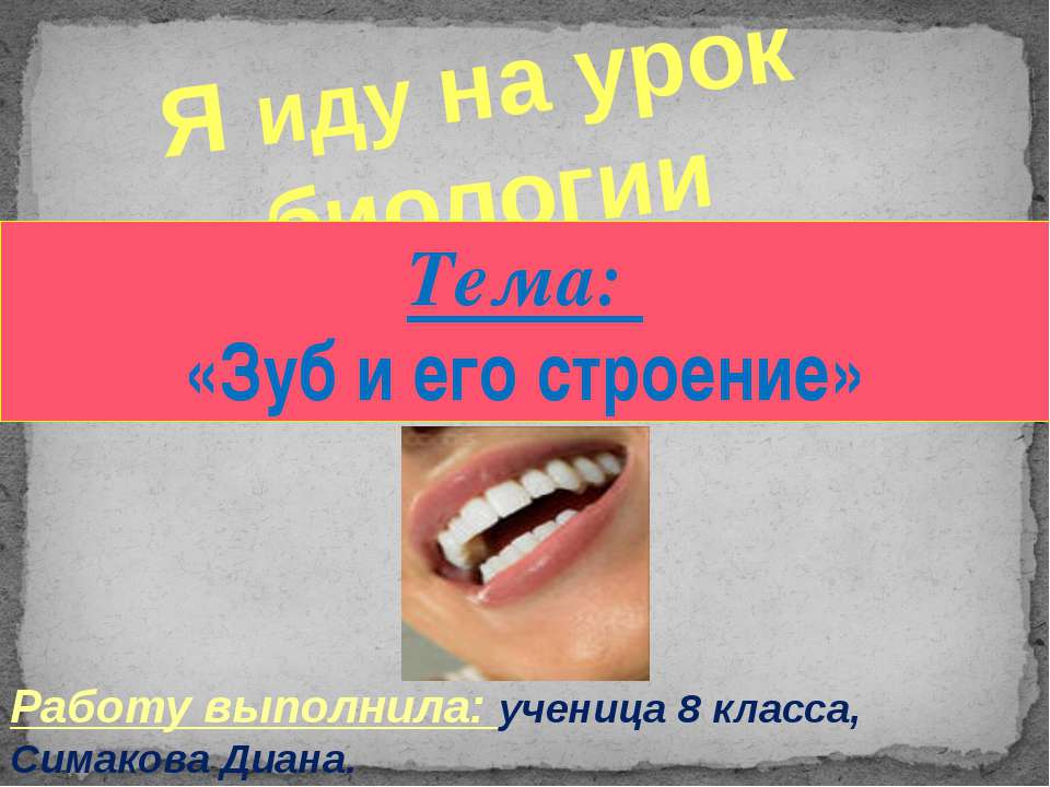 Зуб и его строение - Класс учебник | Академический школьный учебник скачать | Сайт школьных книг учебников uchebniki.org.ua