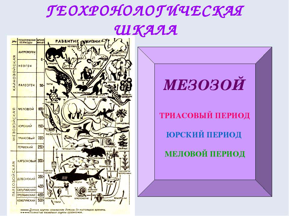 Мезозой - Класс учебник | Академический школьный учебник скачать | Сайт школьных книг учебников uchebniki.org.ua