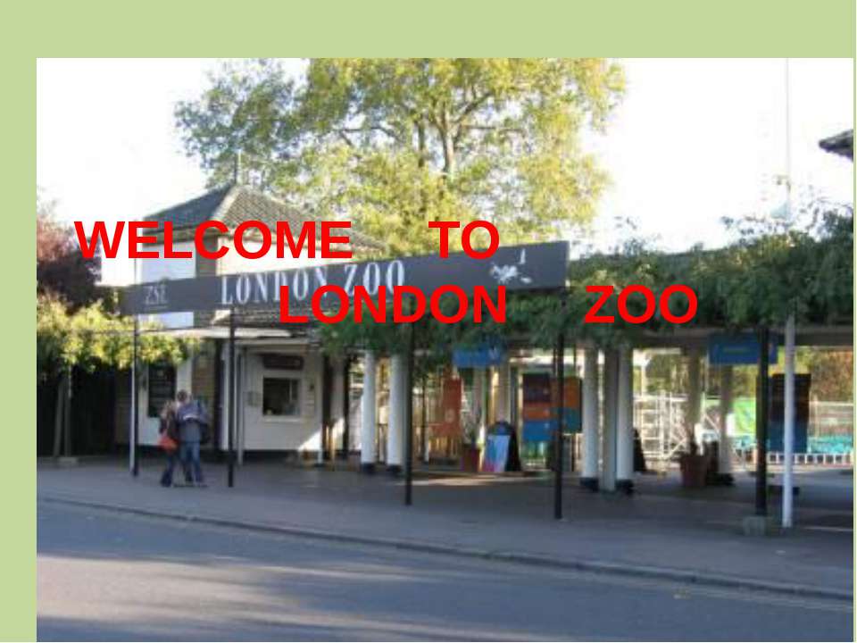 Welcome to London zoo - Класс учебник | Академический школьный учебник скачать | Сайт школьных книг учебников uchebniki.org.ua