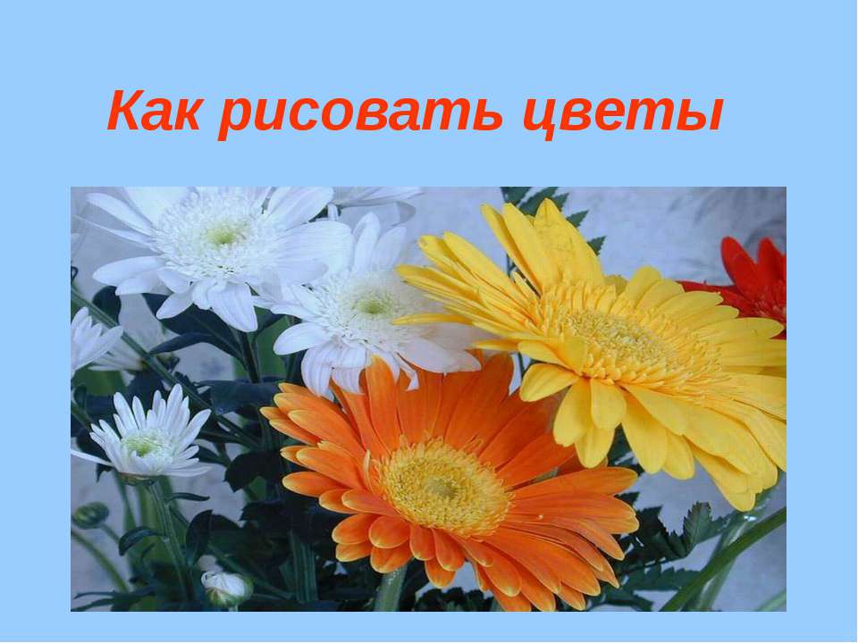 Как рисовать цветы - Класс учебник | Академический школьный учебник скачать | Сайт школьных книг учебников uchebniki.org.ua