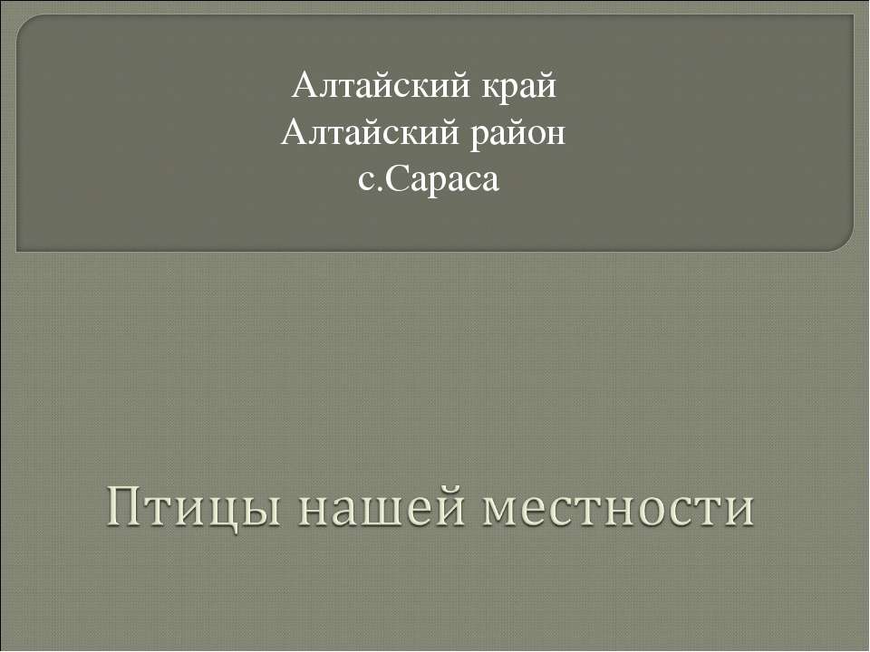 Птицы нашей местности - Класс учебник | Академический школьный учебник скачать | Сайт школьных книг учебников uchebniki.org.ua