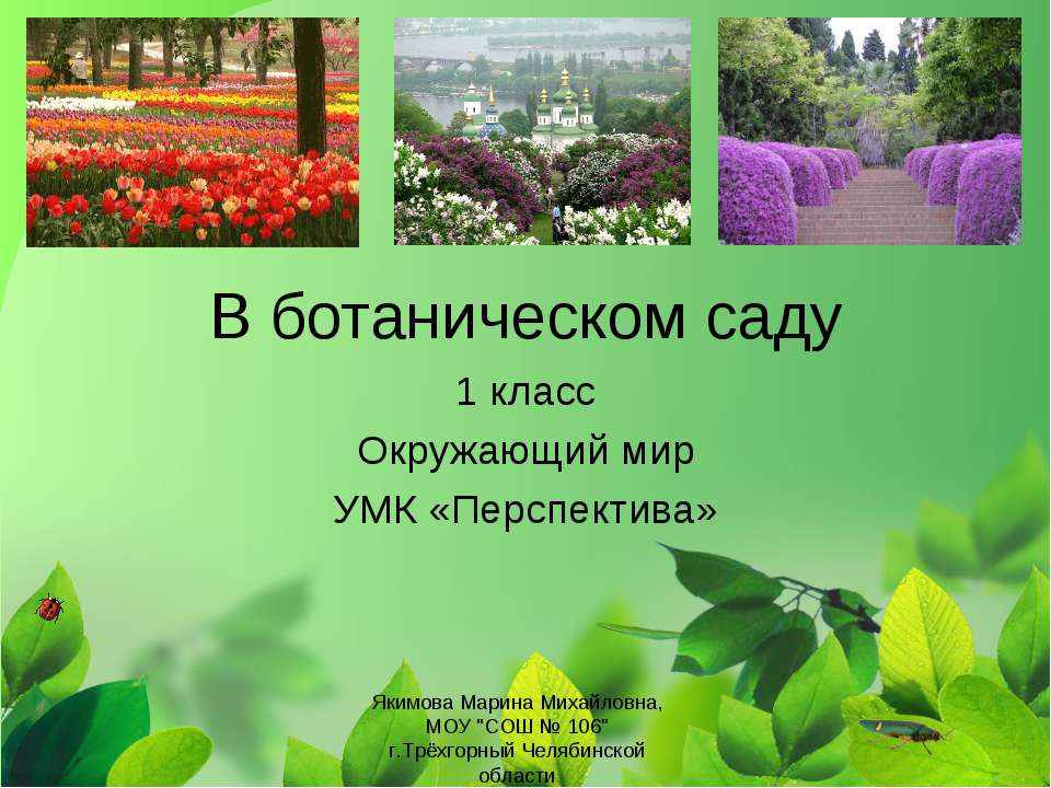 В ботаническом саду - Класс учебник | Академический школьный учебник скачать | Сайт школьных книг учебников uchebniki.org.ua