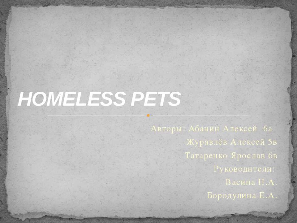 Homeless Pets - Класс учебник | Академический школьный учебник скачать | Сайт школьных книг учебников uchebniki.org.ua