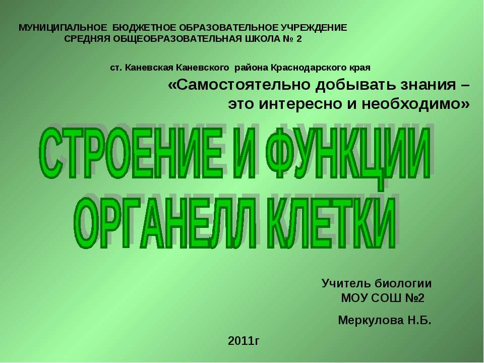 Строение и функции органелл клетки - Класс учебник | Академический школьный учебник скачать | Сайт школьных книг учебников uchebniki.org.ua