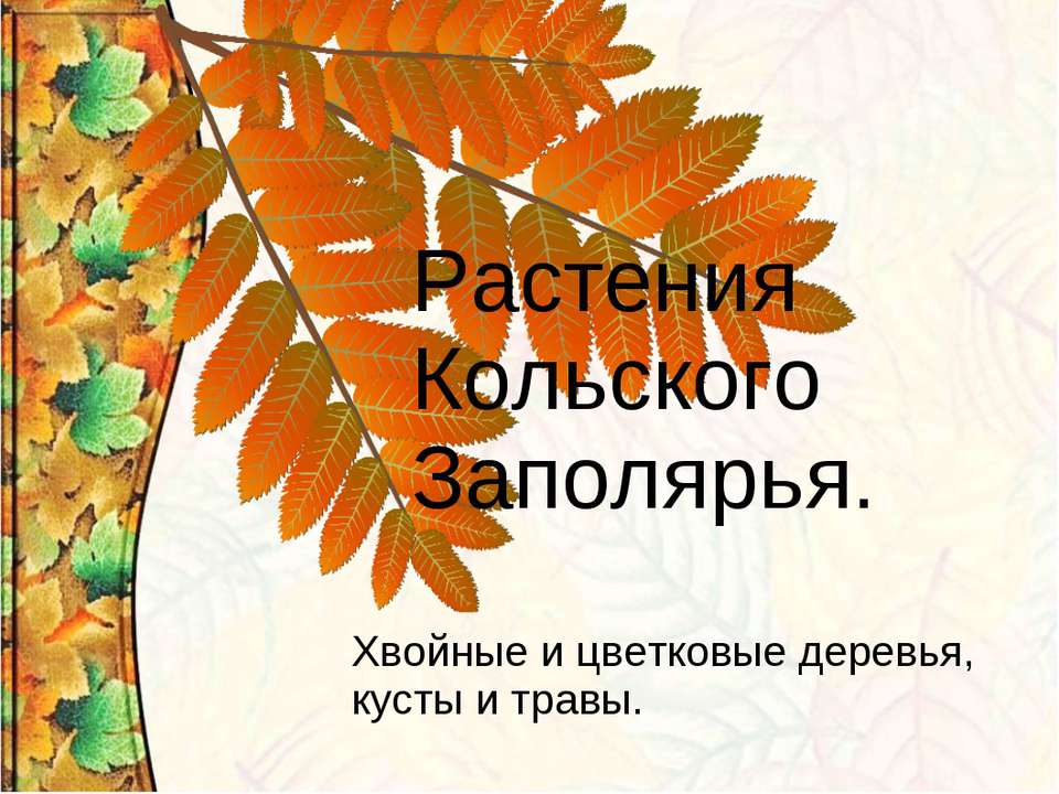 Растения Кольского Заполярья - Класс учебник | Академический школьный учебник скачать | Сайт школьных книг учебников uchebniki.org.ua