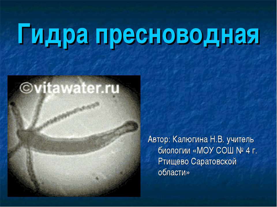 Гидра пресноводная - Класс учебник | Академический школьный учебник скачать | Сайт школьных книг учебников uchebniki.org.ua