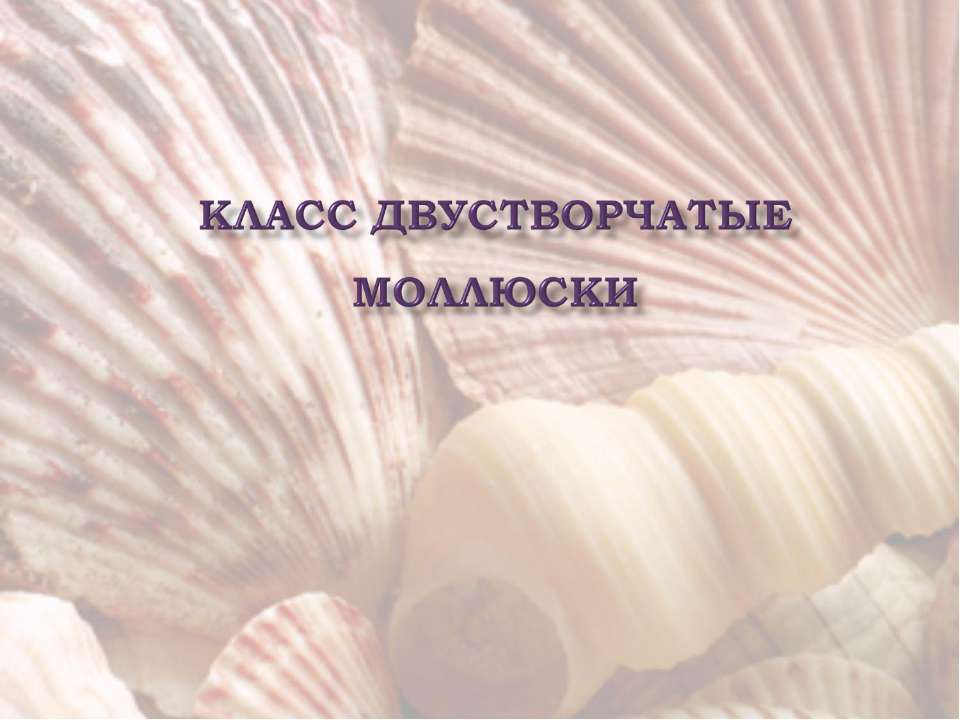 Класс Двустворчатые моллюски - Класс учебник | Академический школьный учебник скачать | Сайт школьных книг учебников uchebniki.org.ua