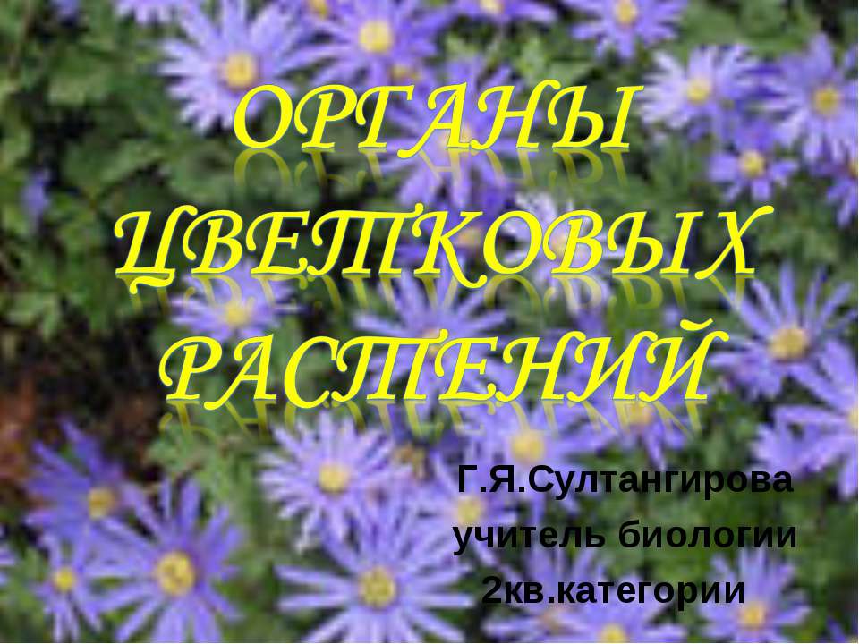 Органы цветковых растений - Класс учебник | Академический школьный учебник скачать | Сайт школьных книг учебников uchebniki.org.ua