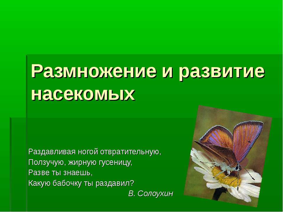 Размножение и развитие насекомых - Класс учебник | Академический школьный учебник скачать | Сайт школьных книг учебников uchebniki.org.ua