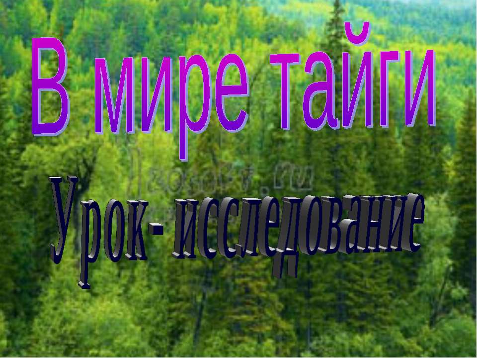 В мире тайги - Класс учебник | Академический школьный учебник скачать | Сайт школьных книг учебников uchebniki.org.ua