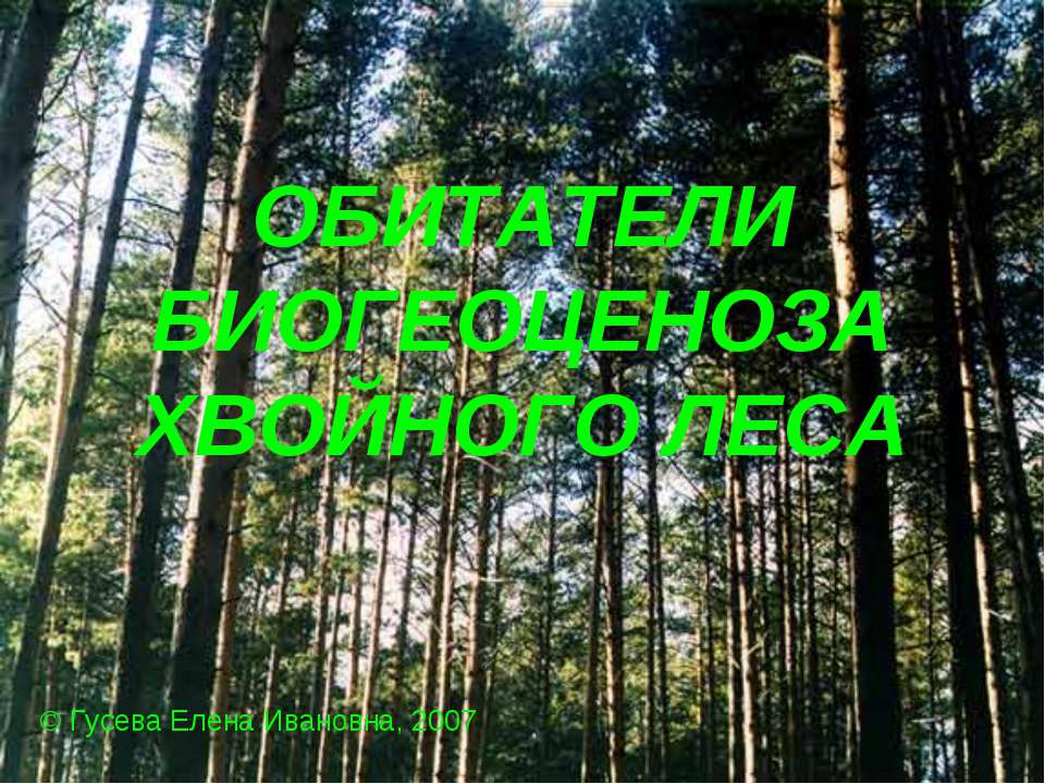 Обитатели биогеоценоза хвойного леса - Класс учебник | Академический школьный учебник скачать | Сайт школьных книг учебников uchebniki.org.ua