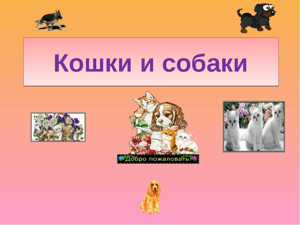 Кошки и собаки - Класс учебник | Академический школьный учебник скачать | Сайт школьных книг учебников uchebniki.org.ua