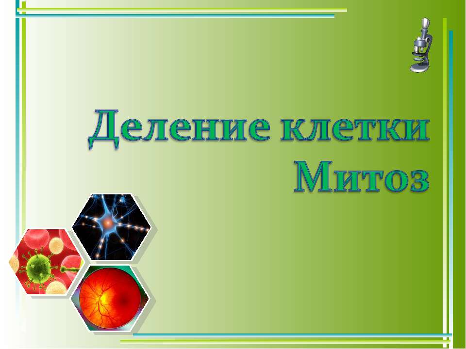 Деление клетки Митоз - Класс учебник | Академический школьный учебник скачать | Сайт школьных книг учебников uchebniki.org.ua