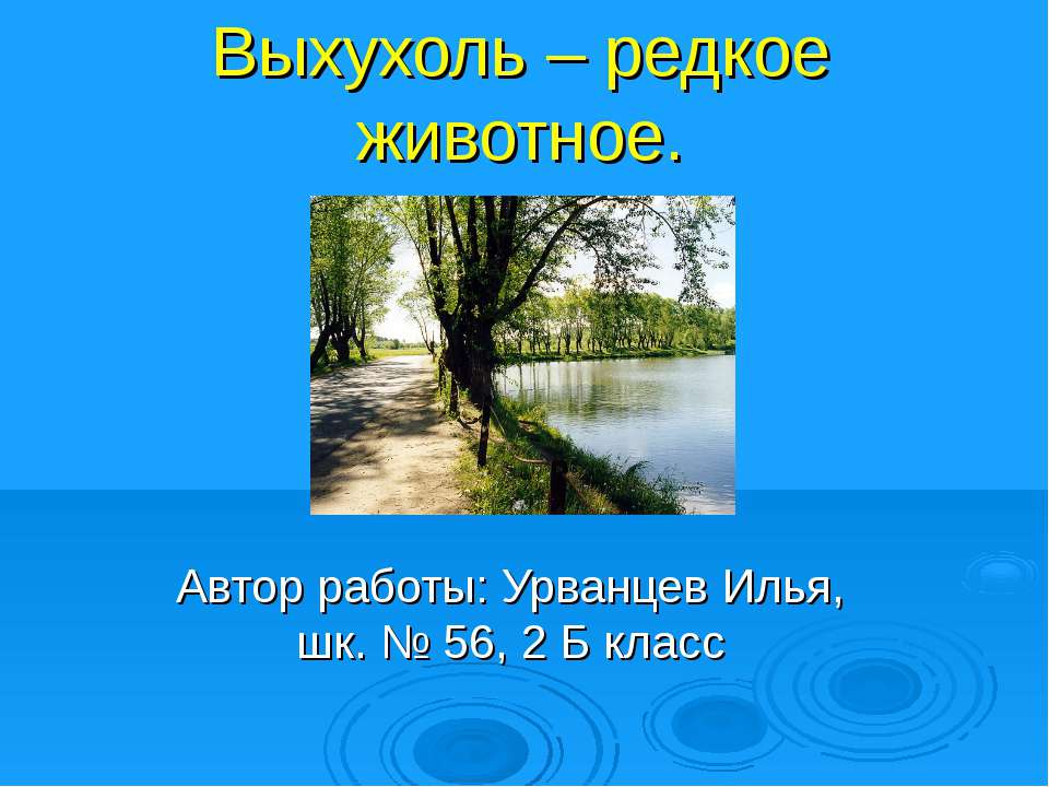 Выхухоль – редкое животное - Класс учебник | Академический школьный учебник скачать | Сайт школьных книг учебников uchebniki.org.ua