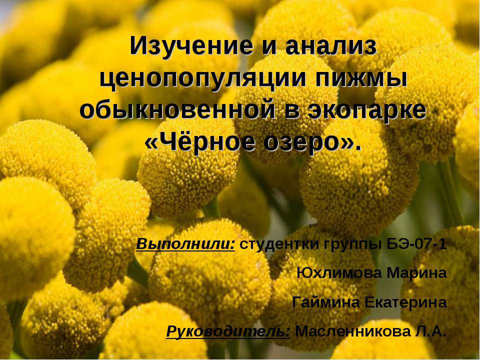 Изучение и анализ ценопопуляции пижмы обыкновенной в экопарке «Чёрное озеро» - Класс учебник | Академический школьный учебник скачать | Сайт школьных книг учебников uchebniki.org.ua