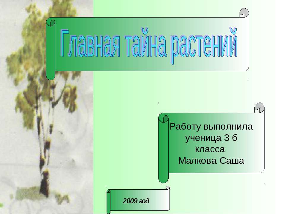 Главная тайна растений - Класс учебник | Академический школьный учебник скачать | Сайт школьных книг учебников uchebniki.org.ua