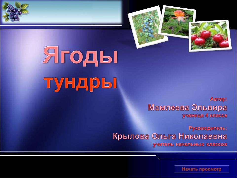 Ягоды тундры - Класс учебник | Академический школьный учебник скачать | Сайт школьных книг учебников uchebniki.org.ua