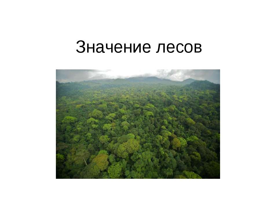 Значение лесов - Класс учебник | Академический школьный учебник скачать | Сайт школьных книг учебников uchebniki.org.ua