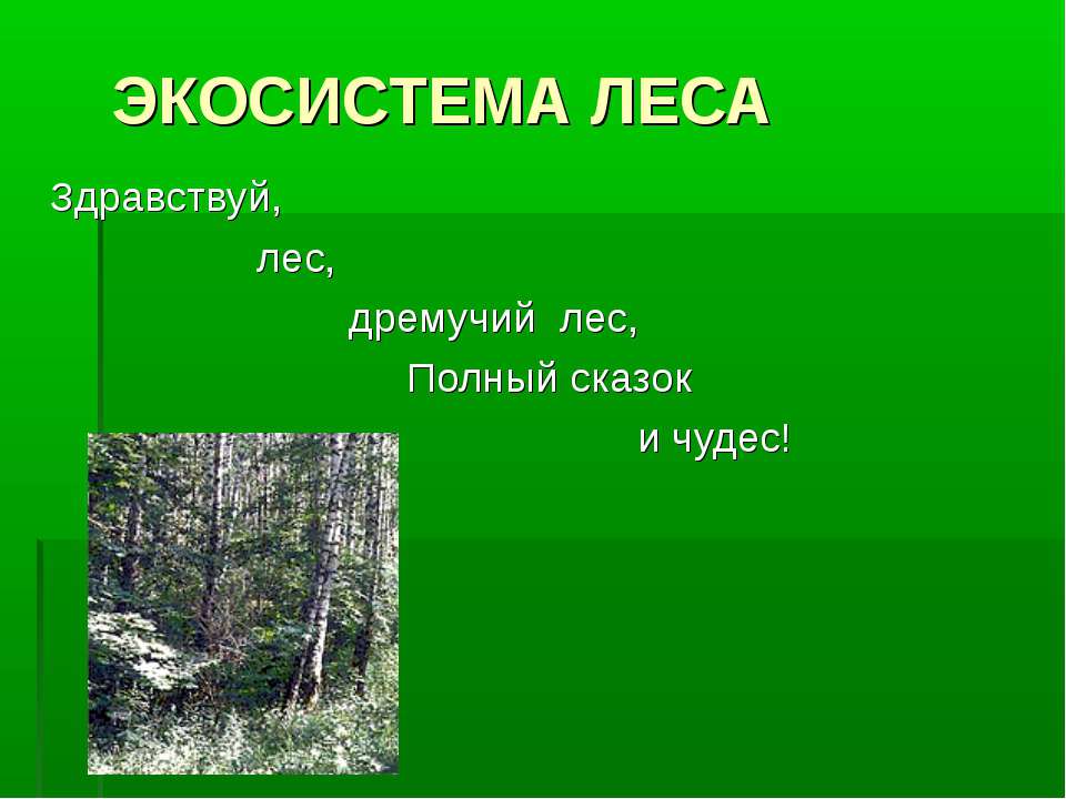 Экосистема леса - Класс учебник | Академический школьный учебник скачать | Сайт школьных книг учебников uchebniki.org.ua