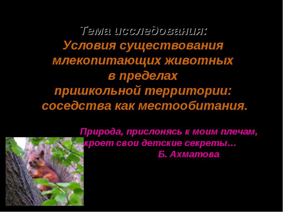 Условия существования млекопитающих животных в пределах пришкольной территории: соседства как местообитания - Класс учебник | Академический школьный учебник скачать | Сайт школьных книг учебников uchebniki.org.ua