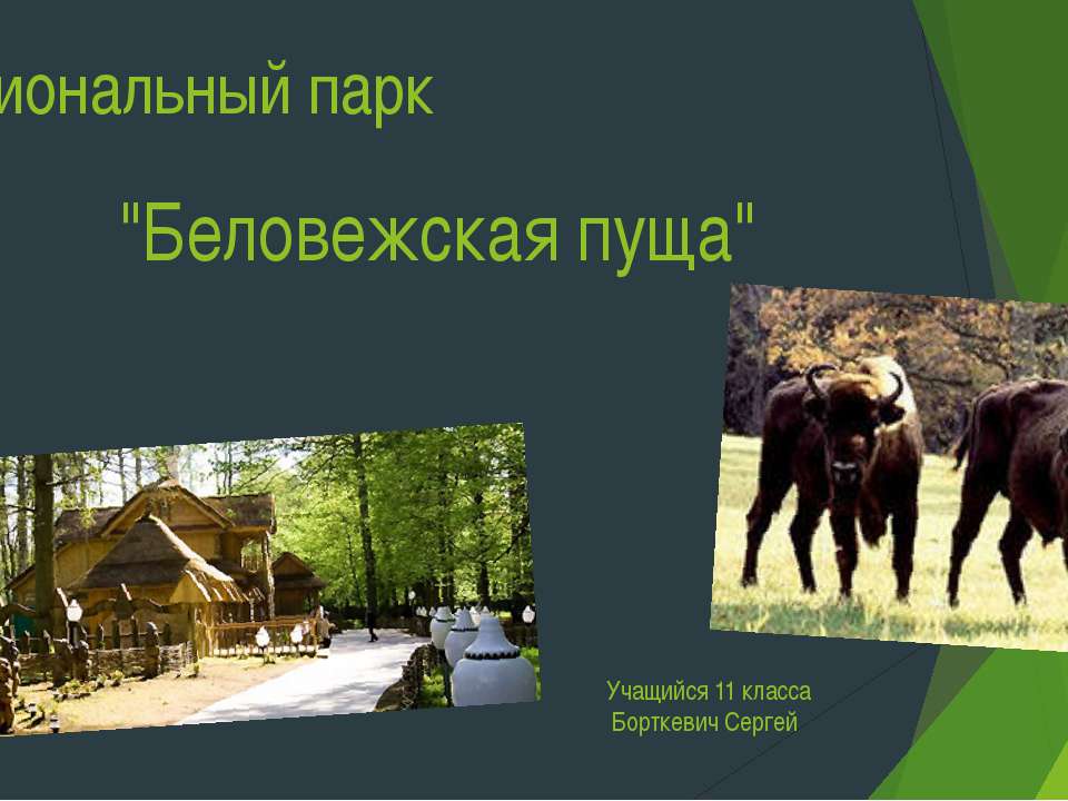 Национальный парк Беловежская пуща - Класс учебник | Академический школьный учебник скачать | Сайт школьных книг учебников uchebniki.org.ua