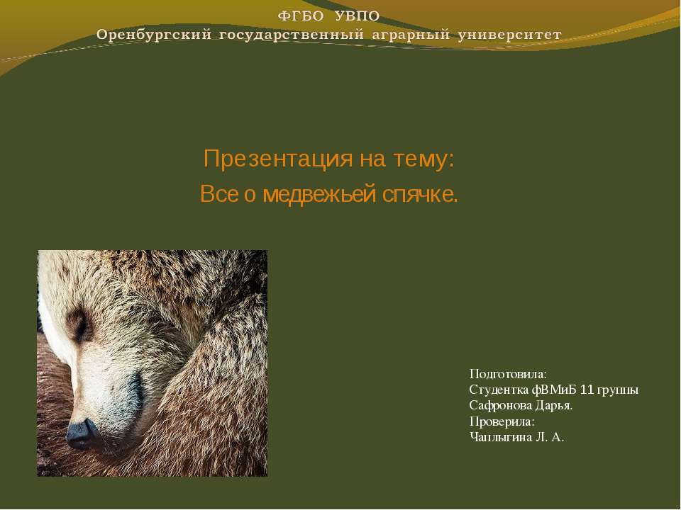 Все о медвежьей спячке - Класс учебник | Академический школьный учебник скачать | Сайт школьных книг учебников uchebniki.org.ua