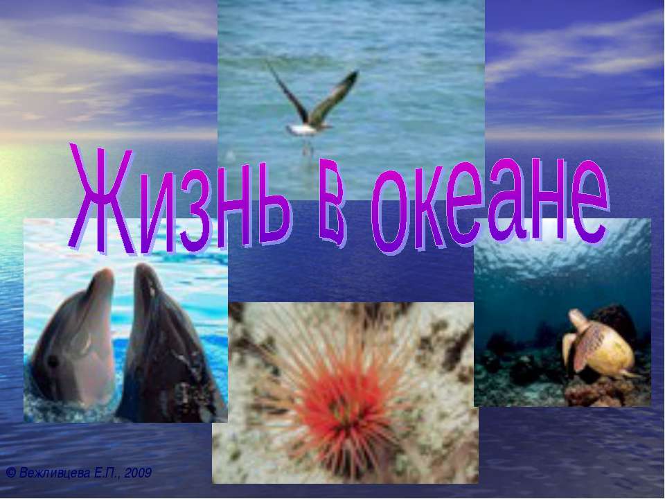 Жизнь в океане 7 класс - Класс учебник | Академический школьный учебник скачать | Сайт школьных книг учебников uchebniki.org.ua