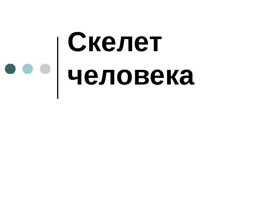 Скелет человека 8 класс - Класс учебник | Академический школьный учебник скачать | Сайт школьных книг учебников uchebniki.org.ua