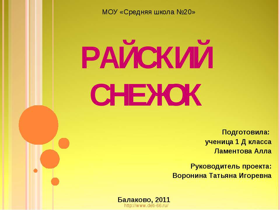 Райский снежок - Класс учебник | Академический школьный учебник скачать | Сайт школьных книг учебников uchebniki.org.ua