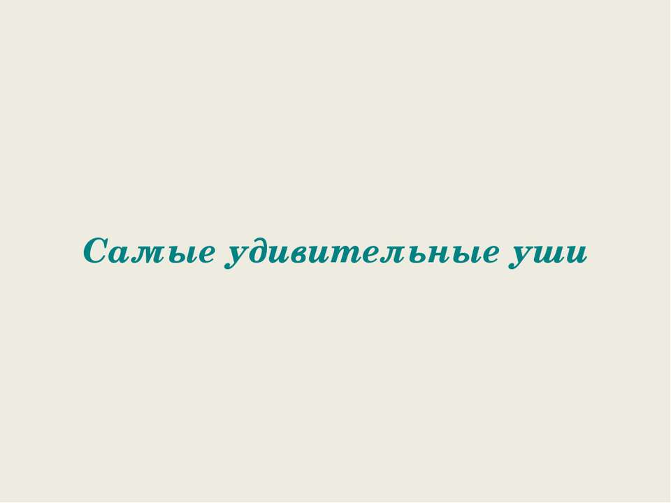 Самые удивительные уши - Класс учебник | Академический школьный учебник скачать | Сайт школьных книг учебников uchebniki.org.ua