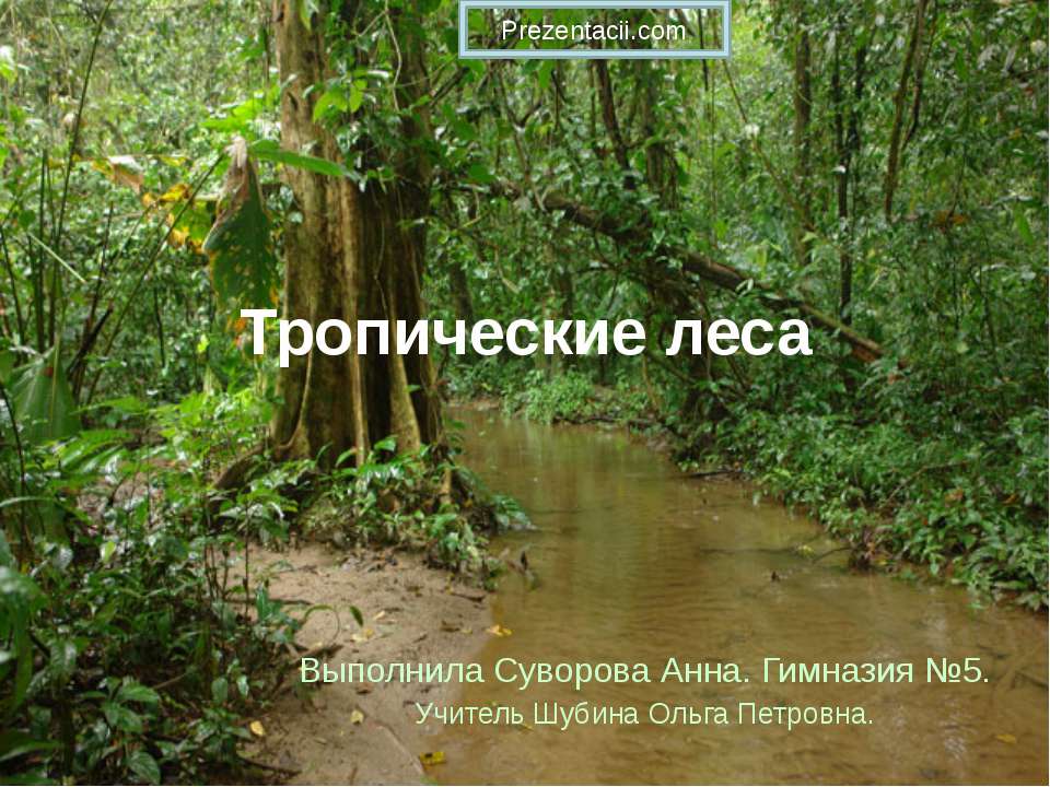 Тропические леса - Класс учебник | Академический школьный учебник скачать | Сайт школьных книг учебников uchebniki.org.ua