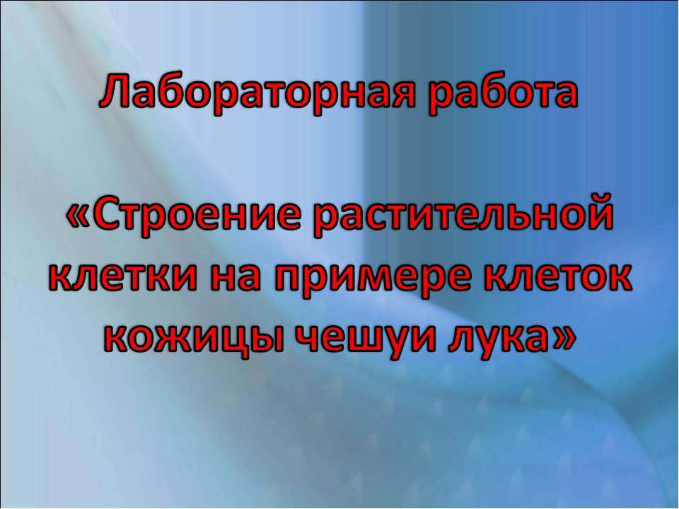 Строение растительной клетки на примере клеток кожицы чешуи лука - Класс учебник | Академический школьный учебник скачать | Сайт школьных книг учебников uchebniki.org.ua