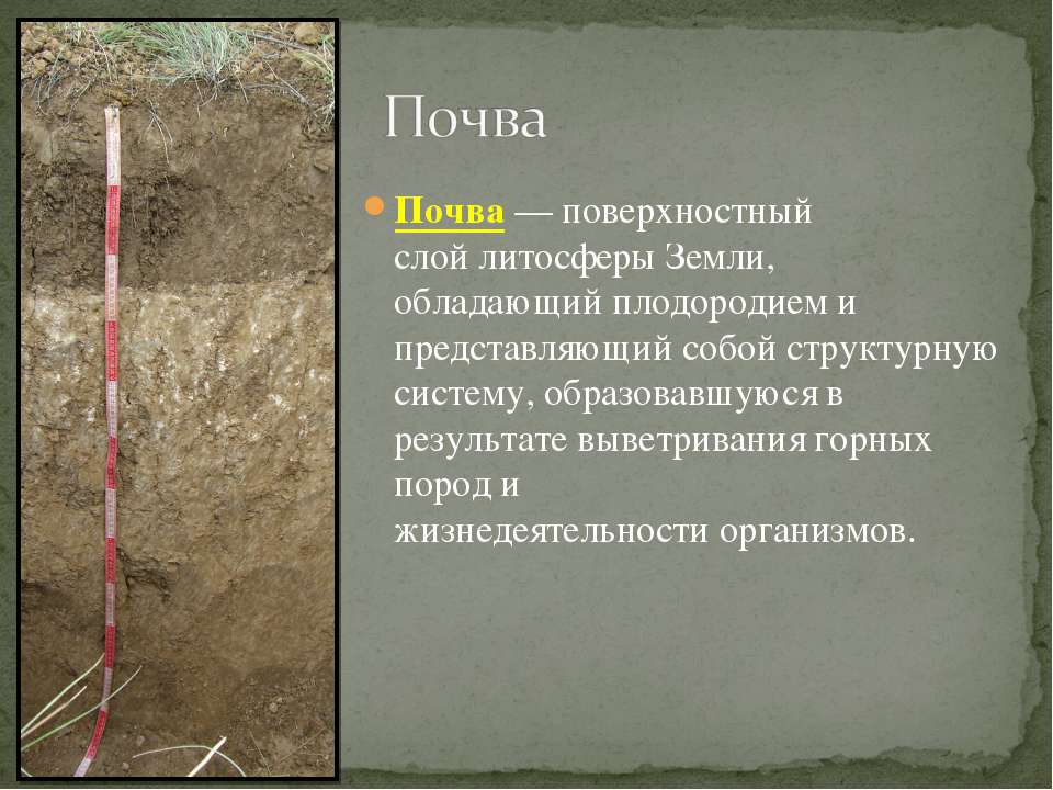Почва - Класс учебник | Академический школьный учебник скачать | Сайт школьных книг учебников uchebniki.org.ua