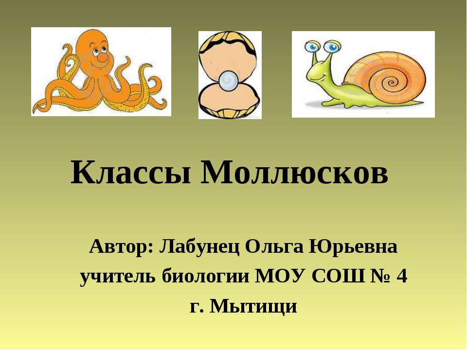 Классы Моллюсков - Класс учебник | Академический школьный учебник скачать | Сайт школьных книг учебников uchebniki.org.ua