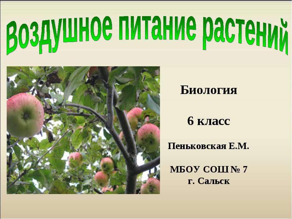 Воздушное питание растений 6 класс - Класс учебник | Академический школьный учебник скачать | Сайт школьных книг учебников uchebniki.org.ua