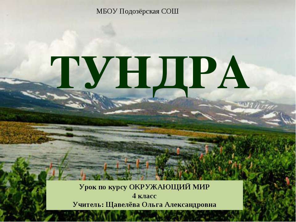 Тундра 4 класс - Класс учебник | Академический школьный учебник скачать | Сайт школьных книг учебников uchebniki.org.ua