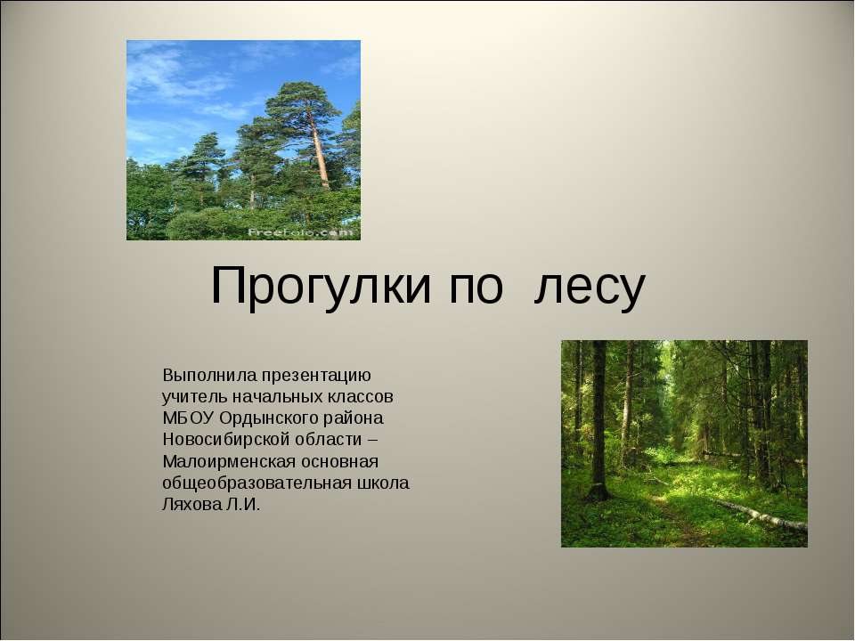 Прогулки по лесу - Класс учебник | Академический школьный учебник скачать | Сайт школьных книг учебников uchebniki.org.ua